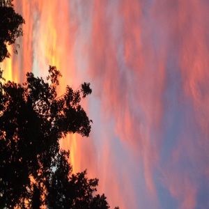 Meet your Posher, Sally