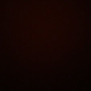 Meet your Posher, Nelson