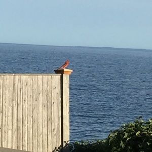 Meet your Posher, Johnna