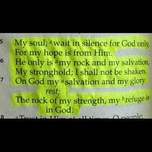 Meet your Posher, Bessie