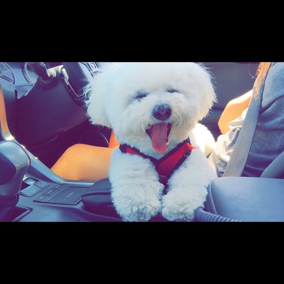 Meet your Posher, Lori - Picture 2 of 2