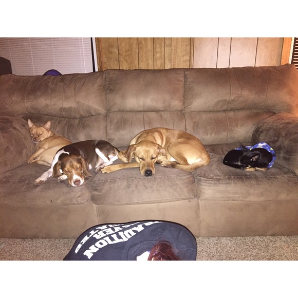 Meet your Posher, Ashley - Picture 3 of 4