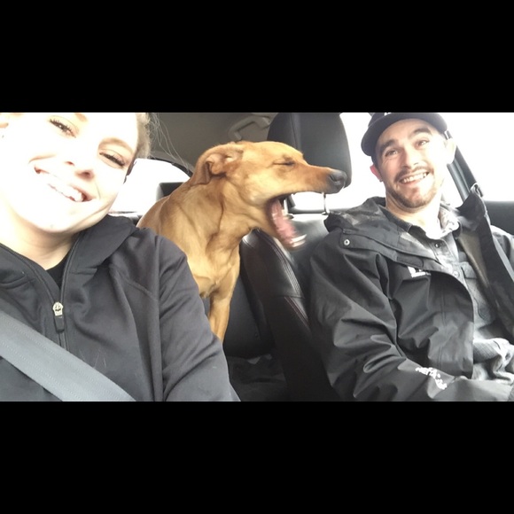 Meet your Posher, Ashley - Picture 4 of 4