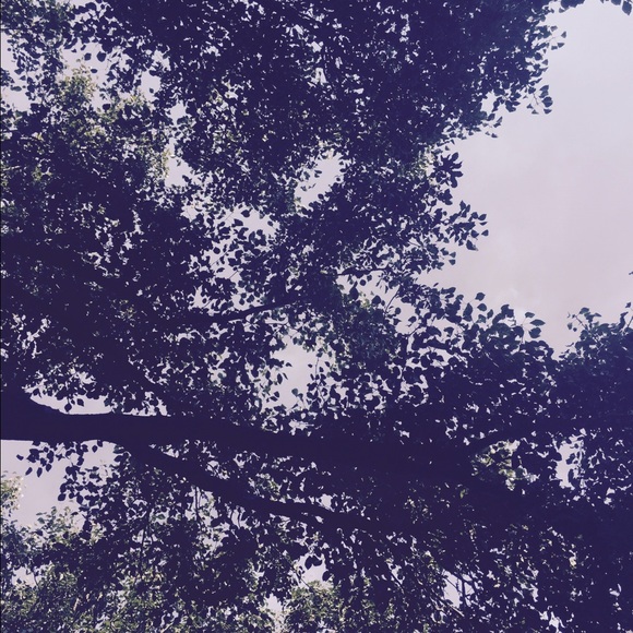 Meet your Posher, Vic - Picture 1 of 1