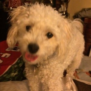 Meet your Posher, Sandra