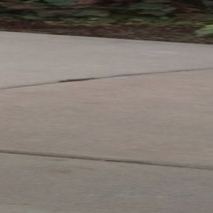 Meet your Posher, Alison