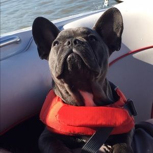 Meet your Posher, Dione