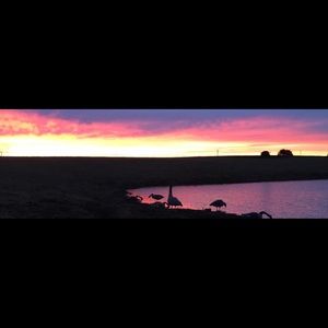 Meet your Posher, Hayden