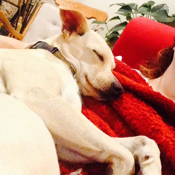 Meet your Posher, Stacey - Picture 4 of 4