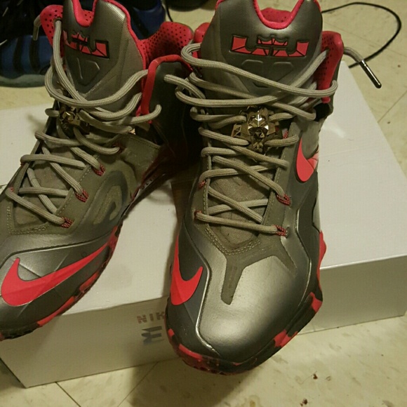 Nike LeBron elites