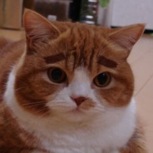 Meet your Posher, Anissa