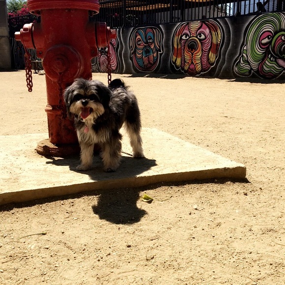 ๐๐ผthat's me! - Picture 7 of 9