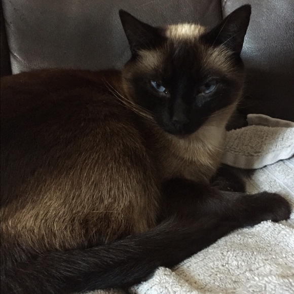 Hey ๐ - Picture 3 of 3