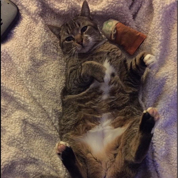 Hey ๐ - Picture 2 of 3