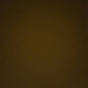 Meet your Posher, Savannah