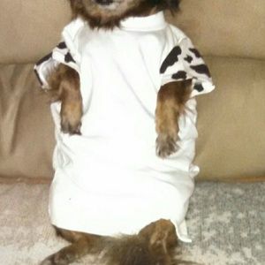 Meet your Posher, Sandy