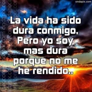 Meet your Posher, Hilda