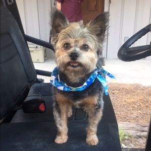 Meet your Posher, Kimberly