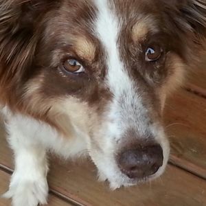 Meet your Posher, Janelle