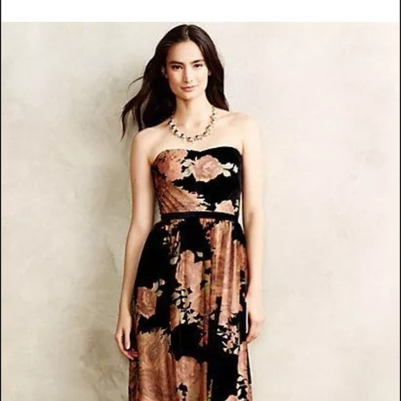 Amazing velvet Anthropologie gown