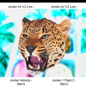 Meet your Posher, Tim