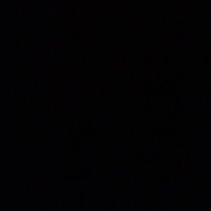 Meet your Posher, Richard