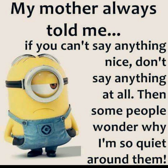 Meet your Posher, Lucero - Picture 1 of 1