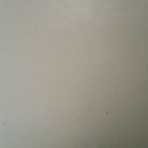 Meet your Posher, Johnny