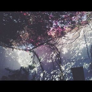 Meet your Posher, Neysha