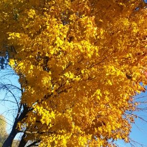 Meet your Posher, Kira