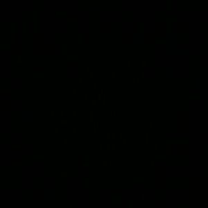 Meet your Posher, Misty