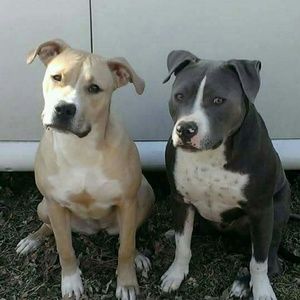 Meet your Posher, Inez