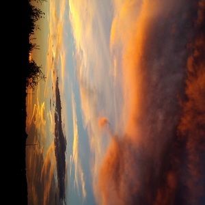 Meet your Posher, Riley