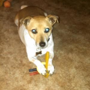 Meet your Posher, Christina