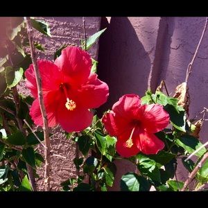 Meet your Posher, Keri