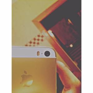 Meet your Posher, Cassidy