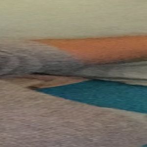 Meet your Posher, Alisha