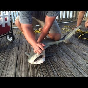 Meet your Posher, Jose