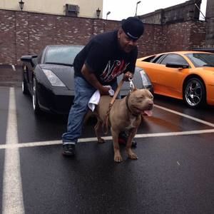 Meet your Posher, Benjamin