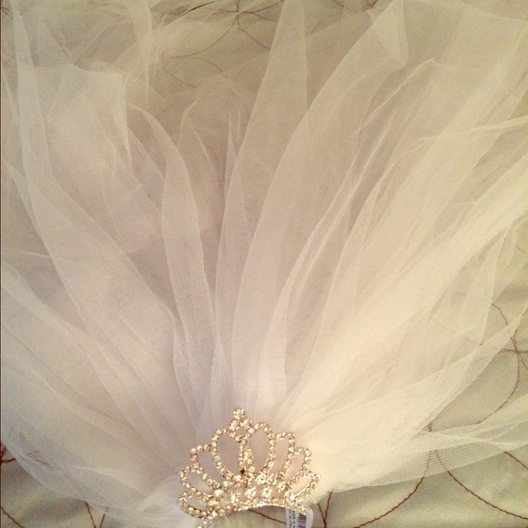Bachelorette Party Veil!!