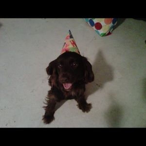 Meet your Posher, Joanna