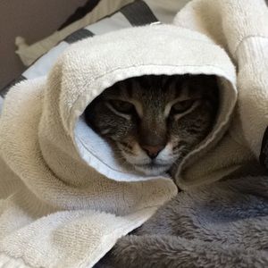 Meet your Posher, Ellie