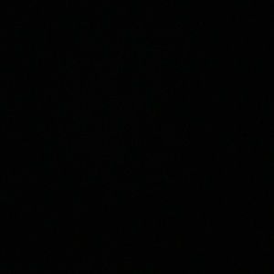 Meet your Posher, Honey