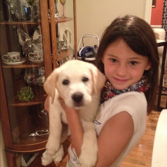 Meet your Posher, Annie