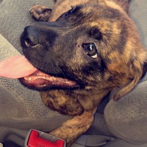 Meet your Posher, Arthur