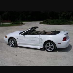 Meet your Posher, Malik