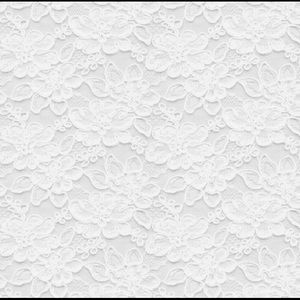 Meet your Posher, Daisy