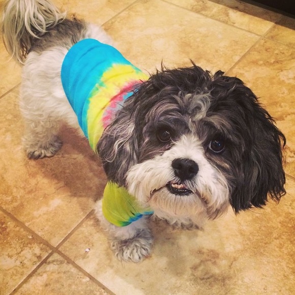 Hi!! Welcome to my closet! - Picture 3 of 3