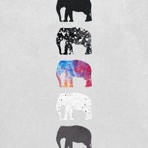 Meet your Posher, Sylvia