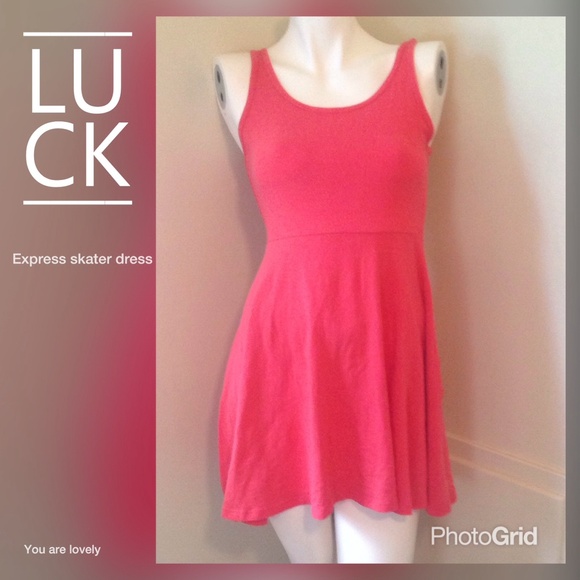 Express Dresses & Skirts - Express pink skater dress